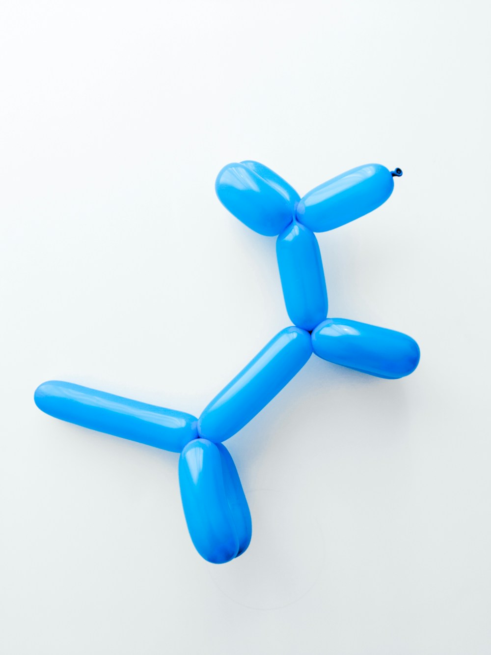 A blue twisted-balloon dog lying on a white surface
